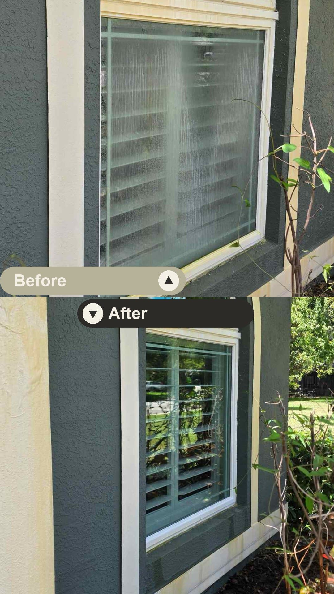 Before and after — heavy hard-water mineral staining removed from an arched window at a Tampa home, the cloudy striped glass restored to crystal-clear