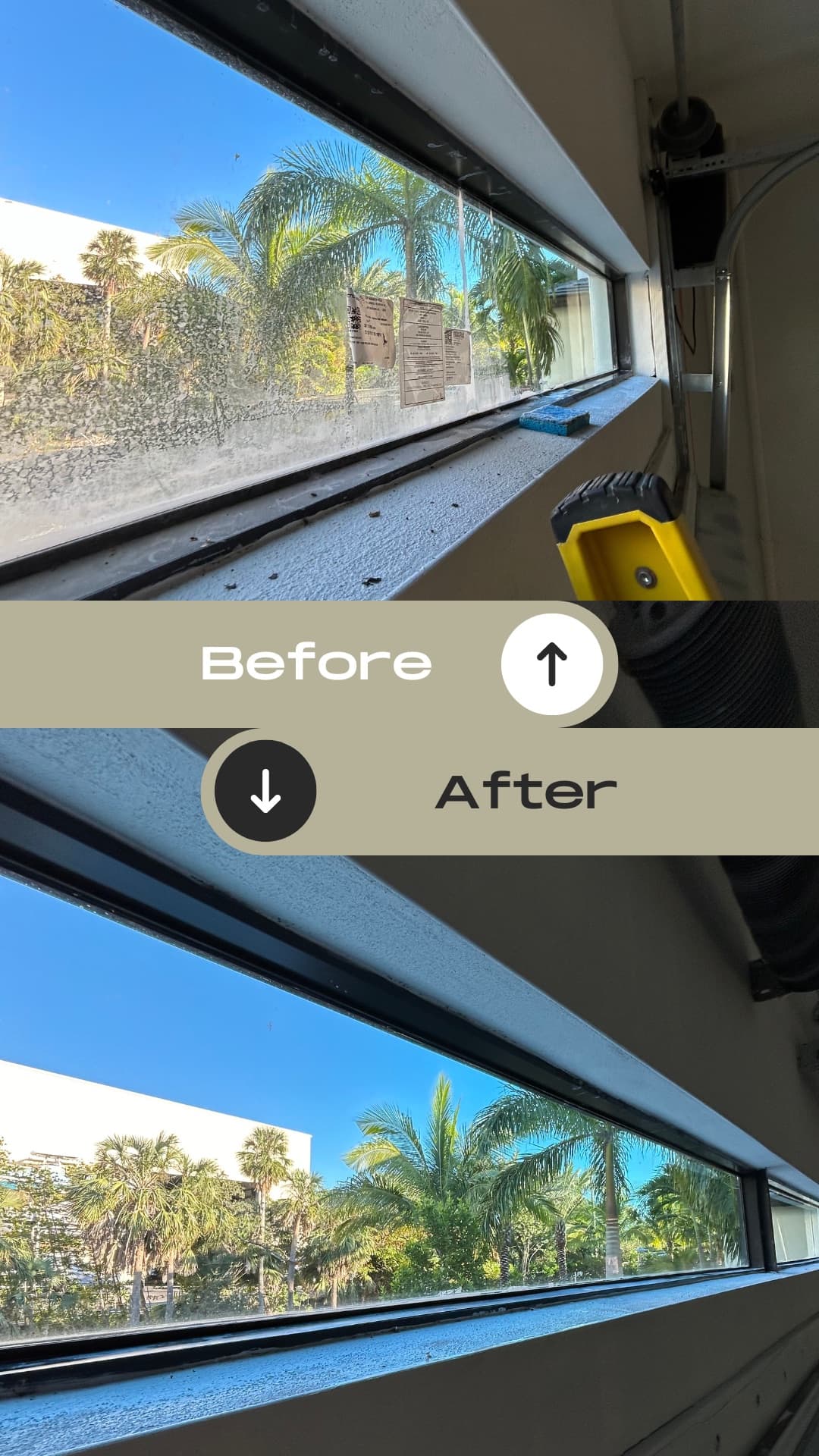 Before and after — cloudy mineral haze lifted from a low window, palms crisp and clear behind the glass