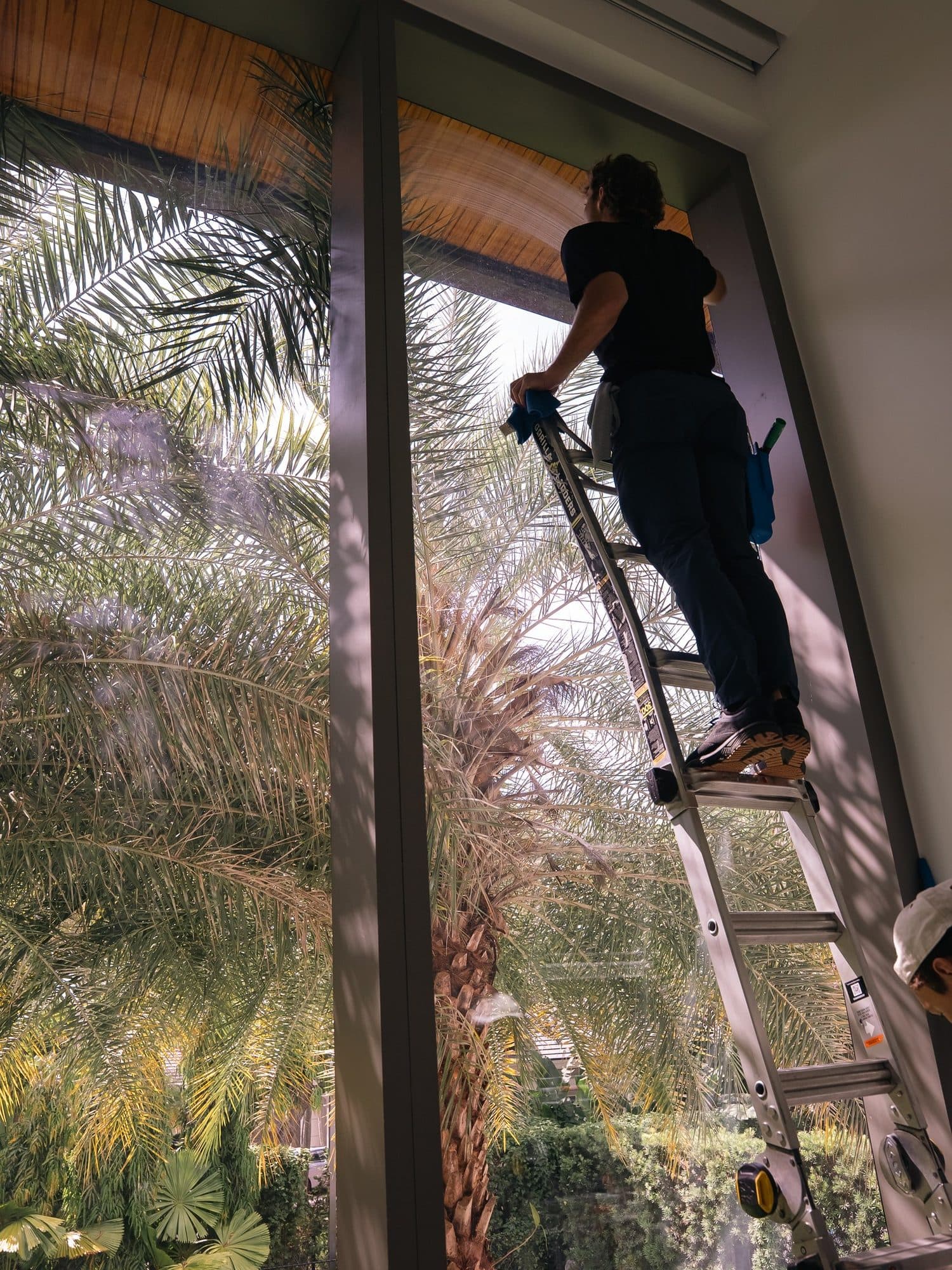 Fresh Frames cleaning tall commercial window glass safely from a ladder